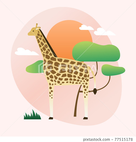 Giraffe vector illustration 77515178