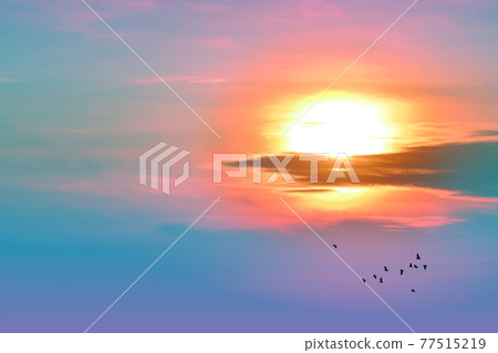 sunset back on the evening light pastel cloud on sky and birds flying to home sunset back on the evening light pastel cloud on sky and birds flying to home 77515219
