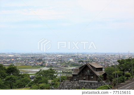 Ibi Tea Village in early summer, 3 (Ikeda Town, Ibi District, Gifu Prefecture) 77515631