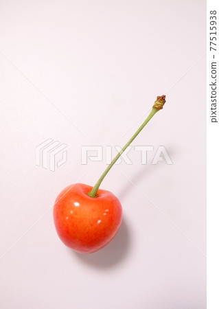 Cherry cherry 77515938