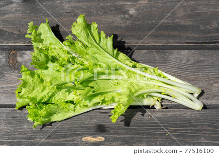 Shandong vegetables harvested in the vegetable garden Shandong vegetables harvested in the vegetable garden 77516100