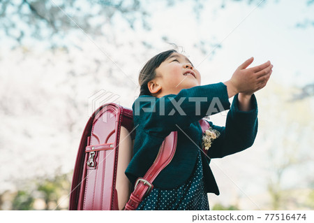 Elementary school entrance Elementary school entrance 77516474