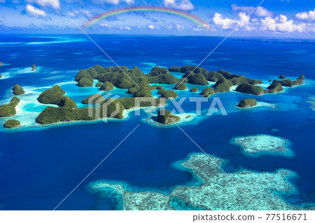 Palau's beautiful coral reef sea 77516671
