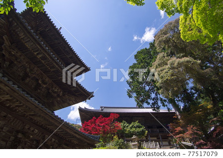 Saigoku Kannon Pilgrimage Hall 26th Fudasho Main Hall and Mie Pagoda of Ichijoji Temple 77517079