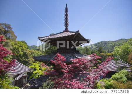 Saigoku Kannon Pilgrimage Hall 26th Fudasho Ichijoji Triple Pagoda 77517226