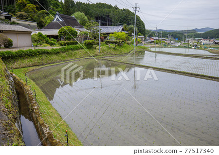 Rural scenery of Yagyu village 77517340
