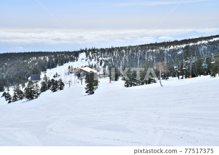 Yokoteyama Shibutoge Ski Resort / Shibutoge Ski Resort [2021.3] 77517375