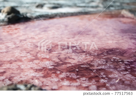 View of the pink Lemur Lake on the Arabat Spit in Ukraine. Unique pond with Dunaliella Salina algae, salt crystals and healing mud. Dead Sea analogue View of the pink Lemur Lake on the Arabat Spit in Ukraine. Unique pond with Dunaliella Salina algae, salt crystals and healing mud. Dead Sea analogue 77517563
