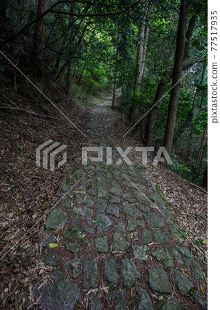 Cobblestones on the old Yagyu Highway 77517935