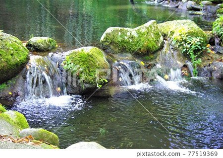"小川苔岩" "小川苔岩" 77519369