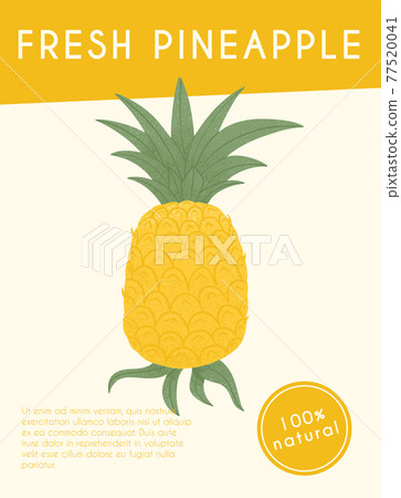 Ripe pineapple with leaves card template. Sweet pineapple fruit vector hand drawn poster design. 77520041