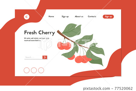 Ripe cherries landing page design. Sweet fresh cherry berry with leaves vector hand drawn website concept. Ripe cherries landing page design. Sweet fresh cherry berry with leaves vector hand drawn website concept. 77520062