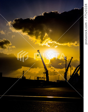 Sunset and crane Sunset and crane 77520104