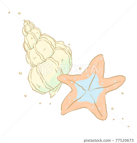 Conch and starfish Conch and starfish 77520673