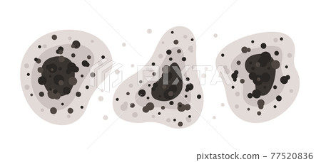 Black mold spots of different shapes. Toxic mold spores. Fungi and bacteria. Stains on the house wall. Isolated vector illustration on white background 77520836