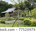 京都Kanonji寺廟 77520979