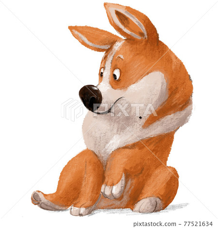 cute lovely corgi dog character on white background 77521634