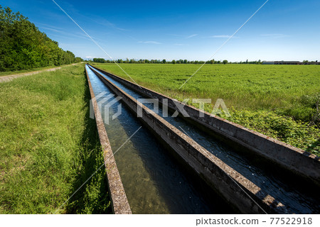 Two Small Concrete Irrigation Canals in the Padan Plain - Lombardy Italy 77522918