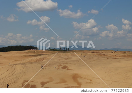 鳥取沙丘 77522985