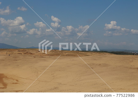 鳥取沙丘 77522986