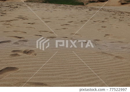 Tottori sand dunes 77522997