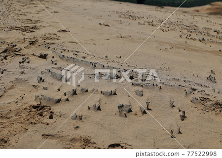 Tottori sand dunes 77522998