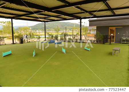 Ama Site Park, Takatsuki City, Osaka Prefecture 77523447