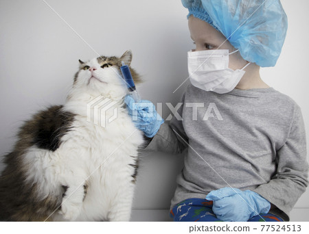 A child in a medical mask plays at the vet. The boy pretends to be treating a Norwegian forest cat. The concept of popularizing the profession of a veterinarian A child in a medical mask plays at the vet. The boy pretends to be treating a Norwegian forest cat. The concept of popularizing the profession of a veterinarian 77524513