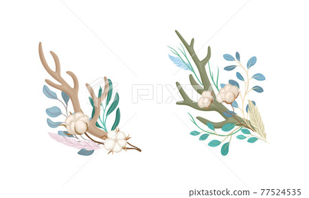 Deer Antlers Arranged with Tender Cotton Flowers and Green Twigs Vector Set Deer Antlers Arranged with Tender Cotton Flowers and Green Twigs Vector Set 77524535