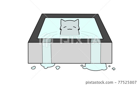 Cat in the water bath 77525807