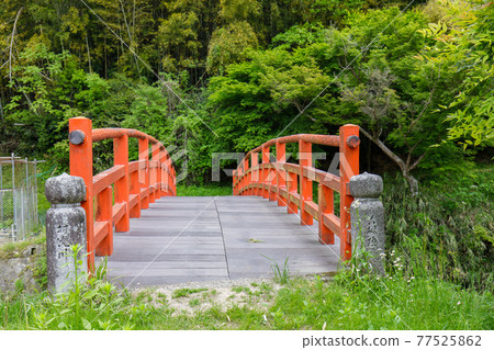 Maple Bridge Maple Bridge 77525862