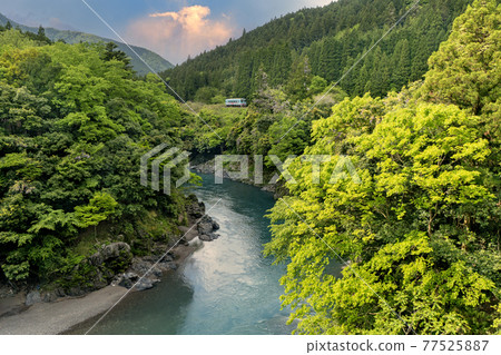 Tarumori鐵路 Tarumori鐵路 77525887