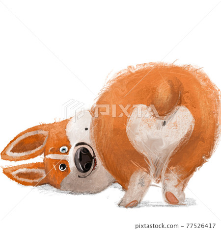 cute lovely corgi dog character on white background cute lovely corgi dog character on white background 77526417