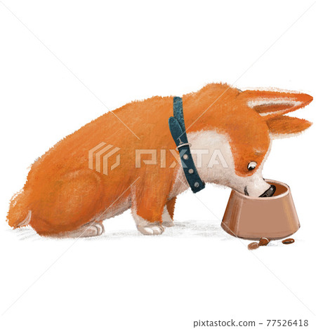 cute lovely corgi dog character on white background cute lovely corgi dog character on white background 77526418