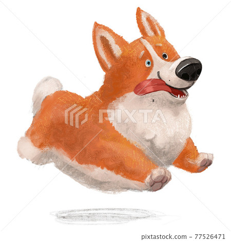 cute lovely corgi dog character on white background 77526471