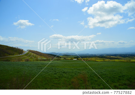 Kusumi Plateau in May Kusumi Plateau in May 77527882