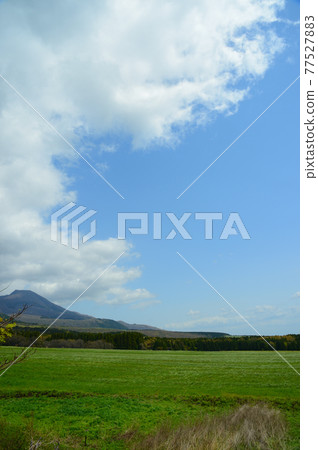 Kusumi Plateau in May 77527883