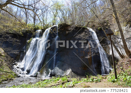 2021年05月12日瀧野瀑布瀧野公園札幌市 2021年05月12日瀧野瀑布瀧野公園札幌市 77528421