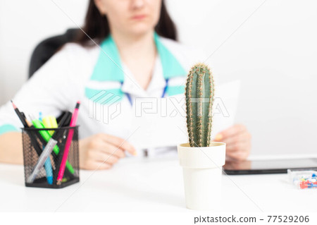 Cactus on the table in the proctologist's office. Concept of pain and problems, hemorrhoids and anal fissure Cactus on the table in the proctologist's office. Concept of pain and problems, hemorrhoids and anal fissure 77529206