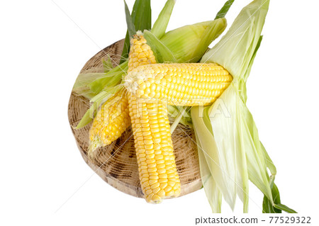 Heap of yellow corn on a wooden stand on a white background, isolate. Natural vegetable grown in your garden, isolate Heap of yellow corn on a wooden stand on a white background, isolate. Natural vegetable grown in your garden, isolate 77529322