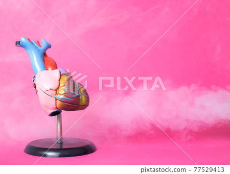 Human heart mockup on a pink background, smoke with cold vapor on the middle. Concept of treatment of the cardiovascular system with herbal medicine. Breathing with medicinal herbs, aerofitotherapy 77529413