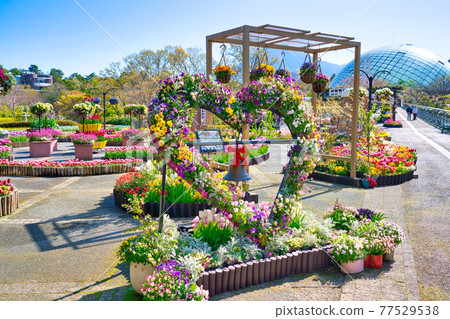 Colorful heart flower decoration (Tottori prefecture) 77529538