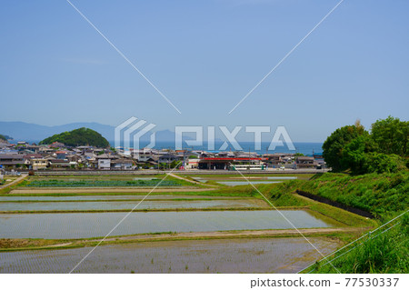 稻田瀨戶內海列車(香川縣贊岐市) 稻田瀨戶內海列車(香川縣贊岐市) 77530337