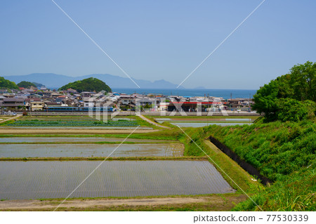 稻田瀨戶內海列車(香川縣贊岐市) 稻田瀨戶內海列車(香川縣贊岐市) 77530339