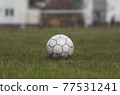 Soccer ball on the soccer field. 77531241