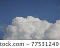 White, cumulus clouds 77531249