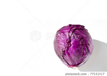 Red cabbage purple cabbage 77531517