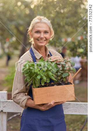 Middle aged caucasian business woman working in garden Middle aged caucasian business woman working in garden 77532342