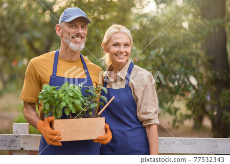 Middle aged caucasian business partners with box of herbs 77532343