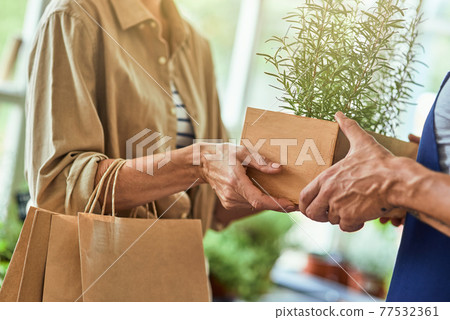 Female hands taking box with rosemary from man Female hands taking box with rosemary from man 77532361